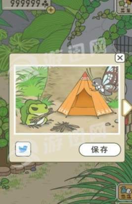 日本养蛤蟆