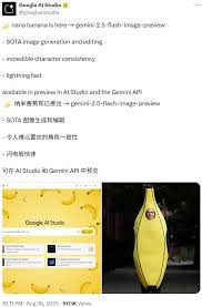 谷歌nano是什么