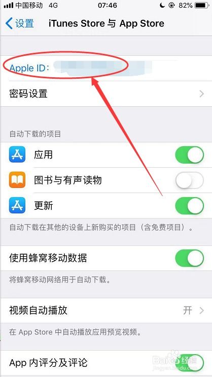 如何在iPhone上查询AppleID的购买记录