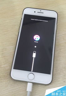 忘记iPhone密码如何解锁