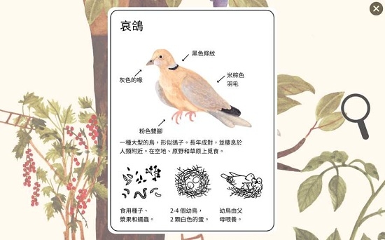 小棕鼠的自然生态百科安卓版