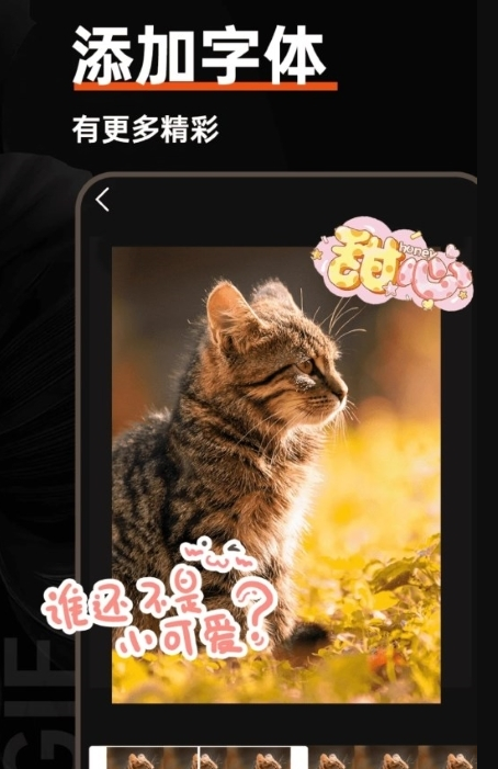 gif动图社区手机版