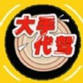 大手代驾最新版
