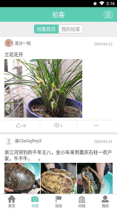五彩石柱最新版