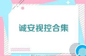 诚安视控合集
