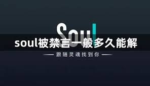 soul违规发言多久解封