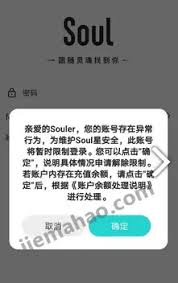 soul存在异常行为暂时无法登录