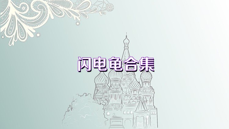 闪电龟合集