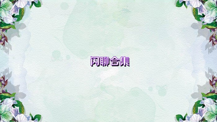 闪聊合集