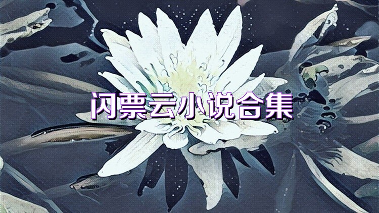 闪票云小说合集