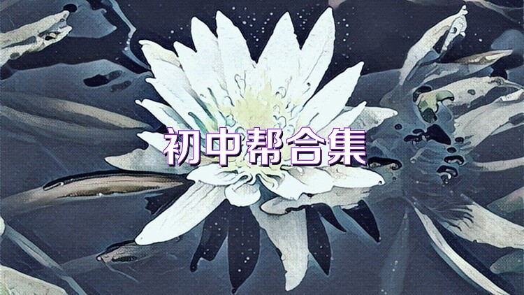 初中帮合集