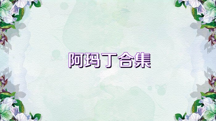 阿玛丁合集