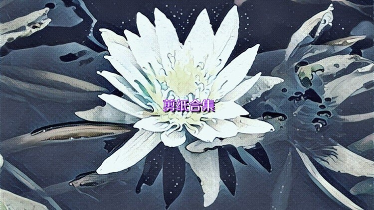 剪纸合集